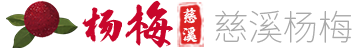 杨梅酒的制作方法步骤，多种杨梅酒做法看这里